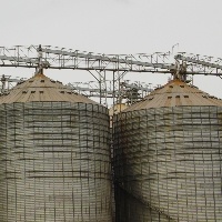 Mais de 8 silos 