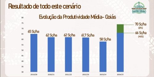 Leia Expedição Safra Goiás estima colheita recorde de soja, podendo chegar a 20 milhões de toneladas