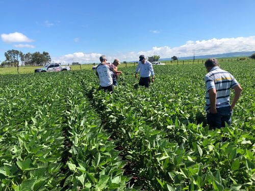 Balanço da Expedição Safra Goiás será apresentado na manhã desta segunda-feira, 22/016