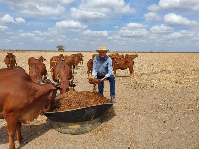 Criador comprou fazenda em brincadeira de bar e virou referência na criação de Sindi no RN