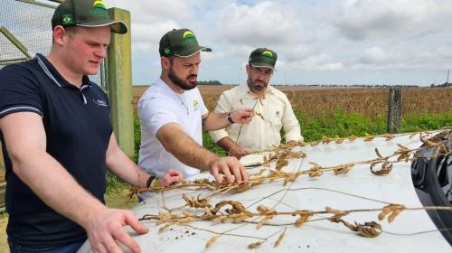 Tour reduz estimativa de produção de soja em 5 milhões de toneladas