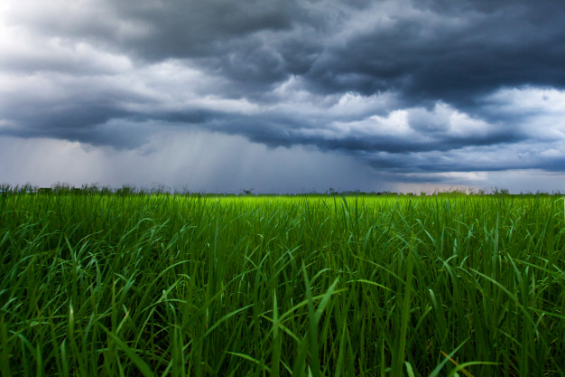 Chuva não deve dar trégua tão cedo ao centro e Norte do Brasil