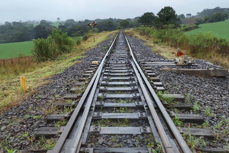 Paraná formaliza pedido ao governo federal de ramais para Nova Ferroeste