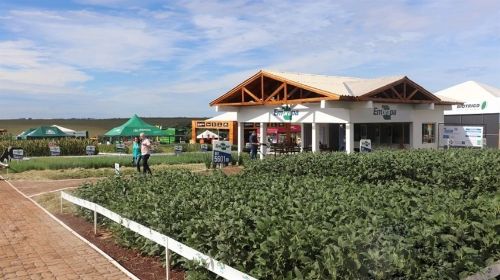 ExpoAgro Cotricampo movimenta o agronegócio de Campo Novo