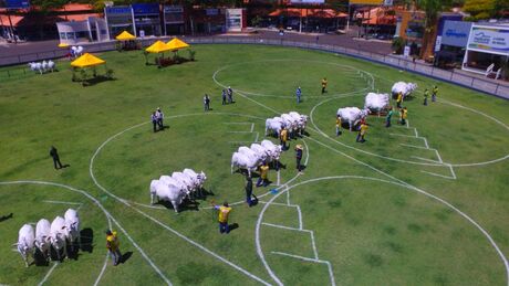 Expoinel 2021 será realizada entre os dias 11 a 17 de outubro, em Uberaba (MG)