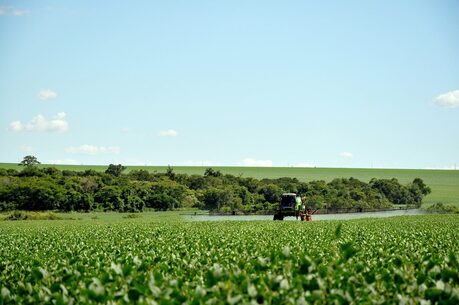 Destaque de soja na safra 2022/23 marcam 50 anos da Embrapa