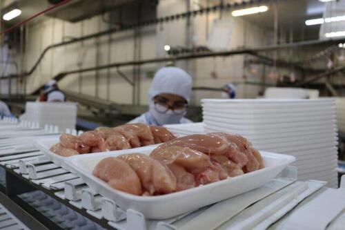 Exportações brasileiras de frango devem atingir novo recorde, diz Conab