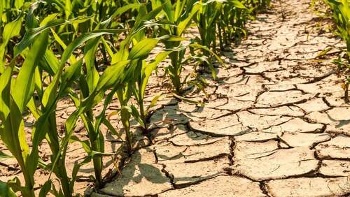 Nova crise hídrica ameaça indústria de alimentos