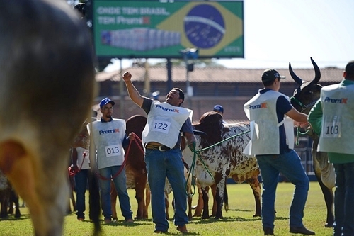 ANCP firma convênio de cooperação técnica com associações de criadores do Peru e Equador