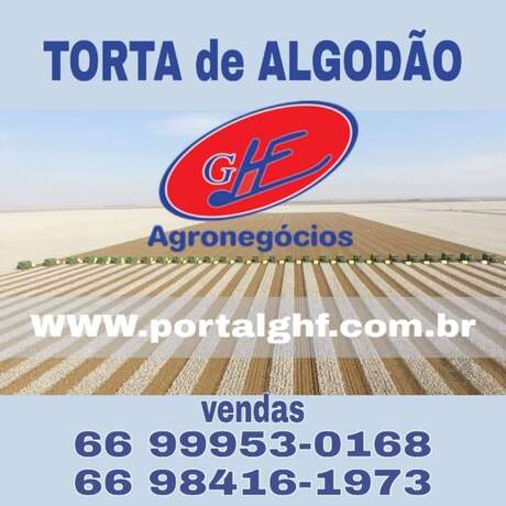 Cotações - Vaca gorda