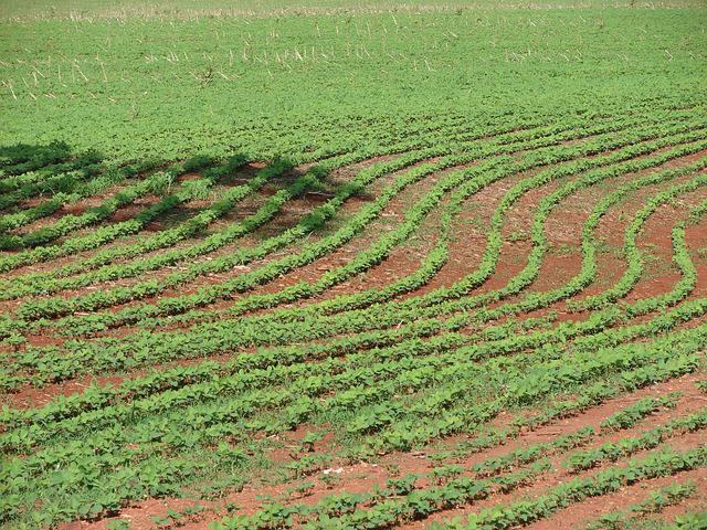 CNA apresenta posicionamento do agro para COP26