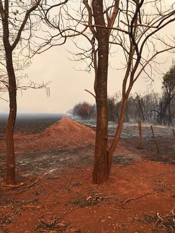 Centro de Pesquisa de Bovinos de Corte do IZ é atingido por incêndio