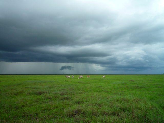 Chuva diminui no Sul, mas situação em Mato Grosso ainda preocupa