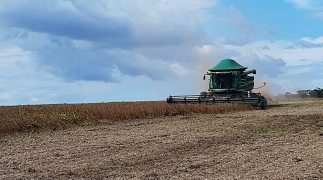 PIB agro avança 10% no acumulado do ano até setembro