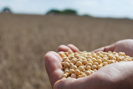 Corte de imposto de alimentos e etanol terá impacto limitado, dizem especialistas