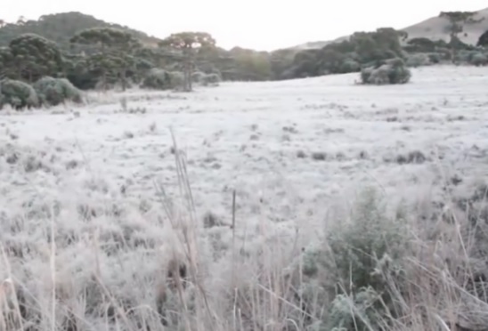 Urgente: Defesa Civil alerta sobre onda de frio