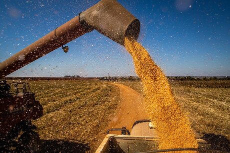 Congresso Nacional de Milho e Sorgo