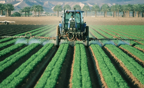 Defensivos agrícolas: Meio Ambiente trava decreto que moderniza registro