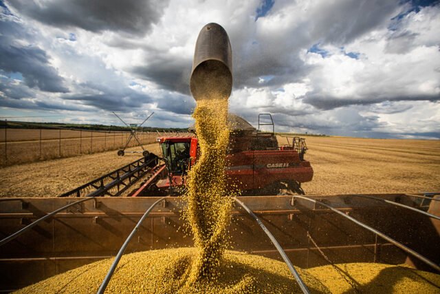 Decisão da UE de vetar o agro brasileiro pode impactar a soja?