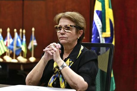 Prestigio internacional da ministra Tereza Cristina influencia Cúpula da ONU sobre alimentos