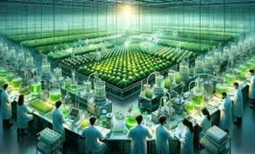 Agricultura molecular: a incrível técnica que produz 