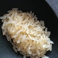 Enquanto o preço do arroz reage no sul, no MT está em queda