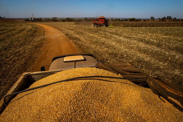 Índice de Preços de Alimentos da FAO atinge novo recorde