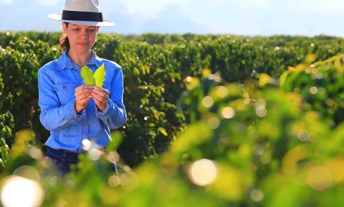 Mulheres no agro: elas não só podem como já fazem de tudo