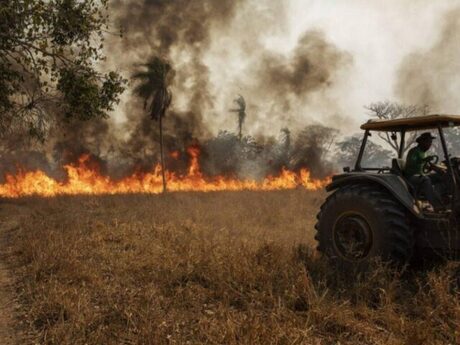 Incêndios atingem lavouras em Maringá (PR)