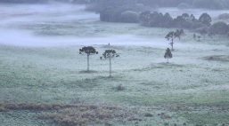 Frio diminui e chove no Norte; SC terá geada nesta quarta