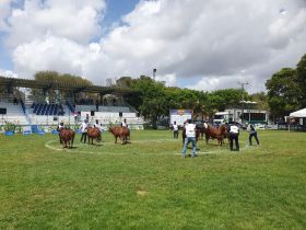 ABCZ presente na Festa do Boi, maior evento agropecuário do Rio Grande do Norte