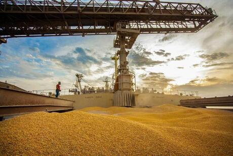 Colheita da soja atinge 87,2% no Brasil; confira evolução de cada estado