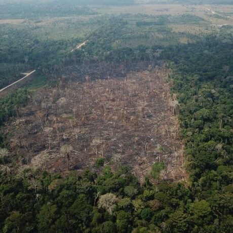 Forças Armadas atuarão em 26 municípios para coibir desmatamento