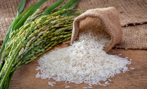 Leia Exportações de arroz ganharam leve impulso ao longo da última semana