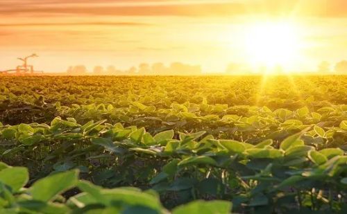 Leia Calor intenso, chuvas? Confira a previsão do Inmet para cada região do Brasil em novembro