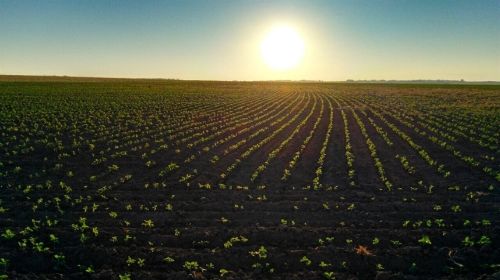 AGROTEMPO: análise agroclimática completa para maio