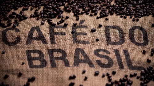 PR: exportações de café apresentam melhor 1º semestre em 12 anos