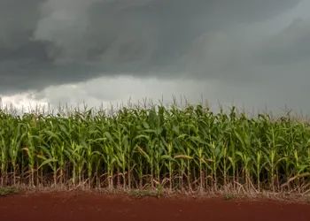 Leia Clima no Brasil: semana começa com calor intenso e risco de temporais