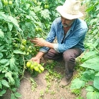 MG: agricultores de orgânicos adotam homeopatia na condução das lavouras