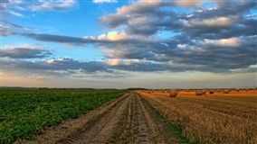 Brasil contará com mais 11 adidâncias agrícolas