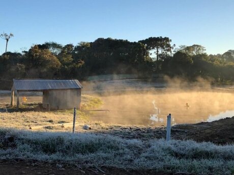 Frio e geada retornam em algumas regiões; confira