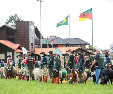 Expointer: 44ª edição da feira chega ao fim com alto volume de negócios