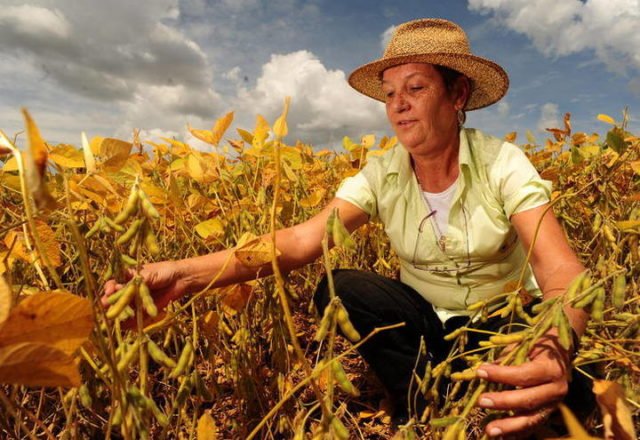 Dia da Mulher: Avançamos muito mas ainda há bastante a conquistar no agro