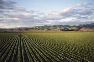 Área tratada com defensivos agrícolas cresce 10,9% no Brasil