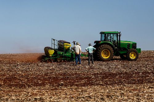 Paraná divulga previsão das safras de soja, milho, feijão e batata 2024/2025