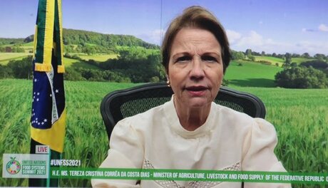 Ministra defende diversidade dos modelos produtivos na ONU