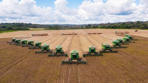 Conab projeta recorde de área cultivada e produção para Safra 2024/25 I MT