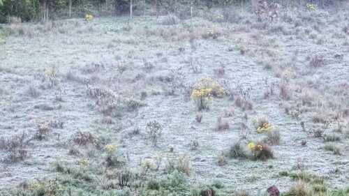 Frente fria, chuva e geada; confira a previsão para o fim de semana