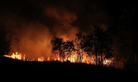 Mato Grosso do Sul entra em estado de emergência ambiental até dezembro