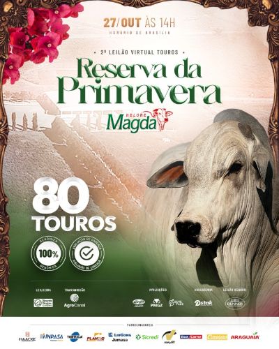 Leia 2º LEILÃO VIRTUAL TOUROS RESERVA DA PRIMAVERA NELORE MAGDA